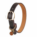 Moshiqa Hachiko Leather Dog Collar (Brown)