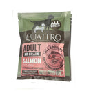 FREE SAMPLE (1 per order): Quattro Salmon Adult All Breed No Grain Dry Dog Food