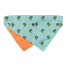 15% OFF: FuzzYard Pet Bandana (Tucson)