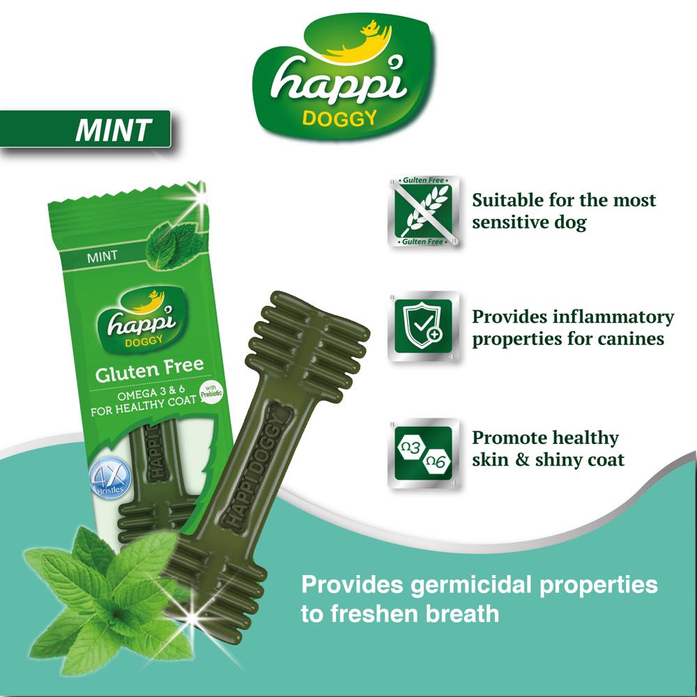 10 FOR $10: Happi Doggy Zest Mint 4 Inch Dental Dog Chew 25g - Kohepets
