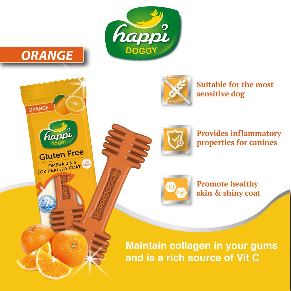 10 FOR $10: Happi Doggy Zest Orange 4 Inch Dental Dog Chew 25g - Kohepets