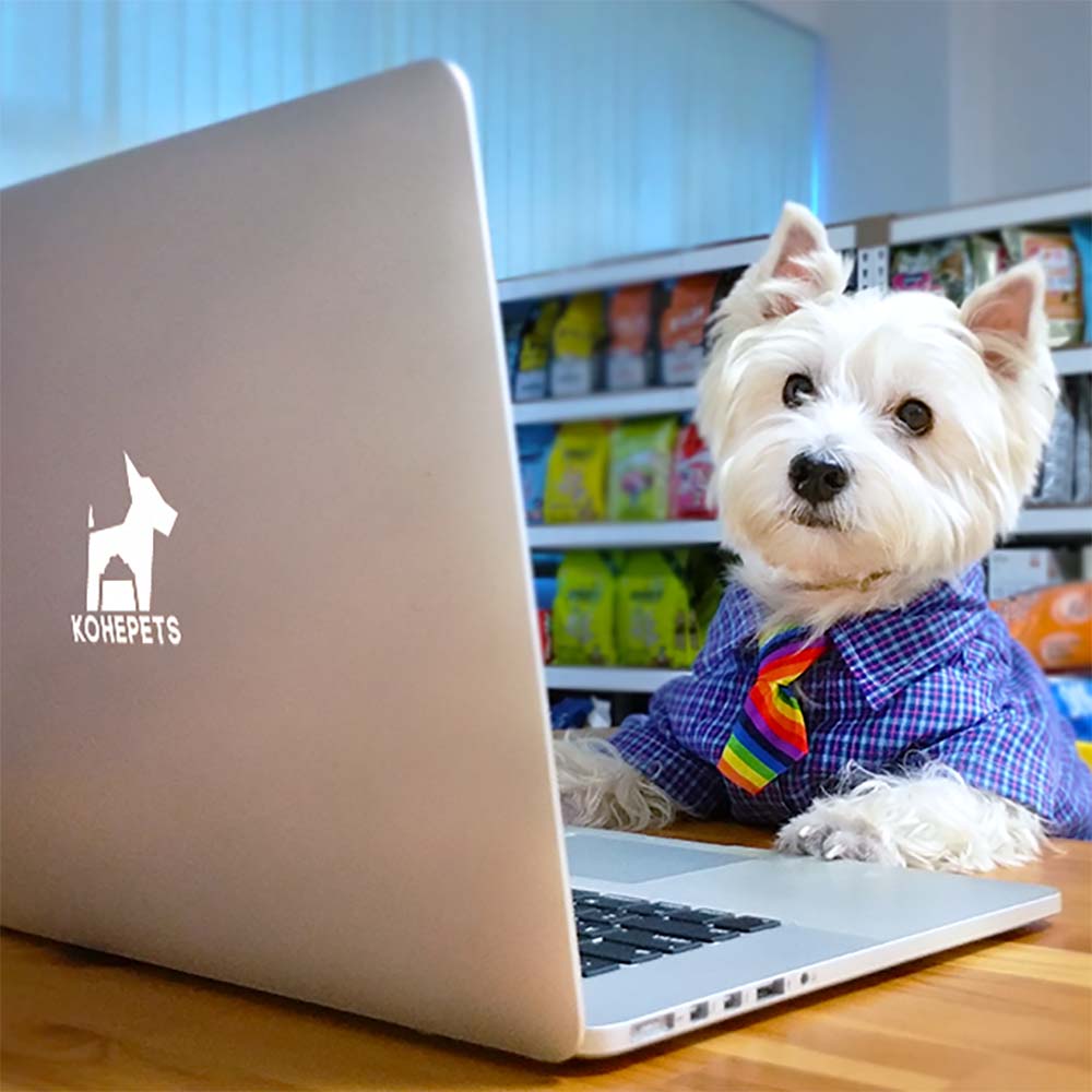 Friendly & Knowledgeable Customer Service