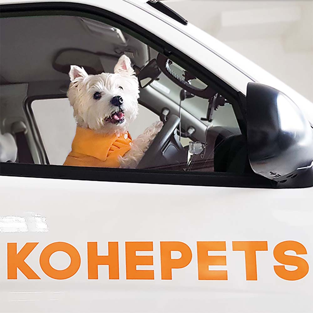 Hassle-Free Ordering & Delivery