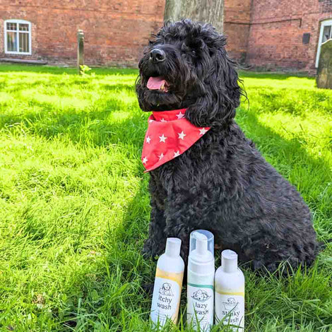 Lillidale Animal Health — Find Out More About The Brand