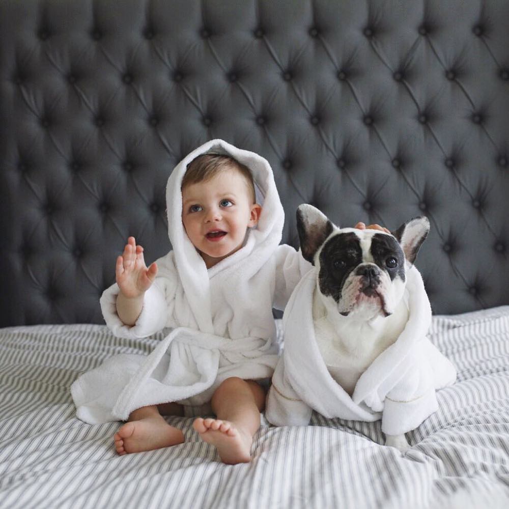 Moshiqa Dog Bathrobes — Dry Off In Style
