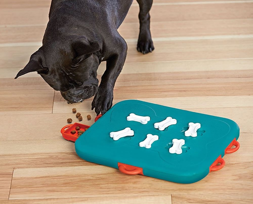 15% OFF: Outward Hound Nina Ottosson Dog Casino Interactive Dog Toy - Kohepets