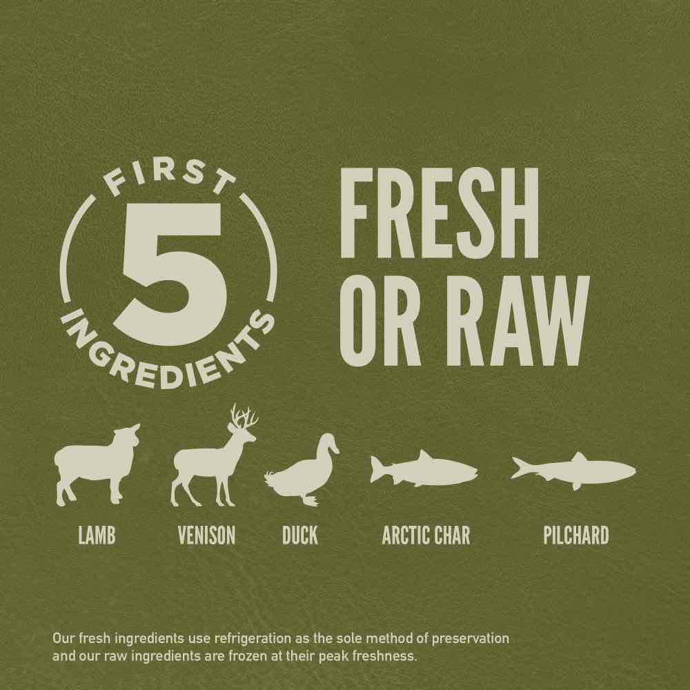 ORIJEN Tundra Grain-Free Dry Dog Food - Kohepets