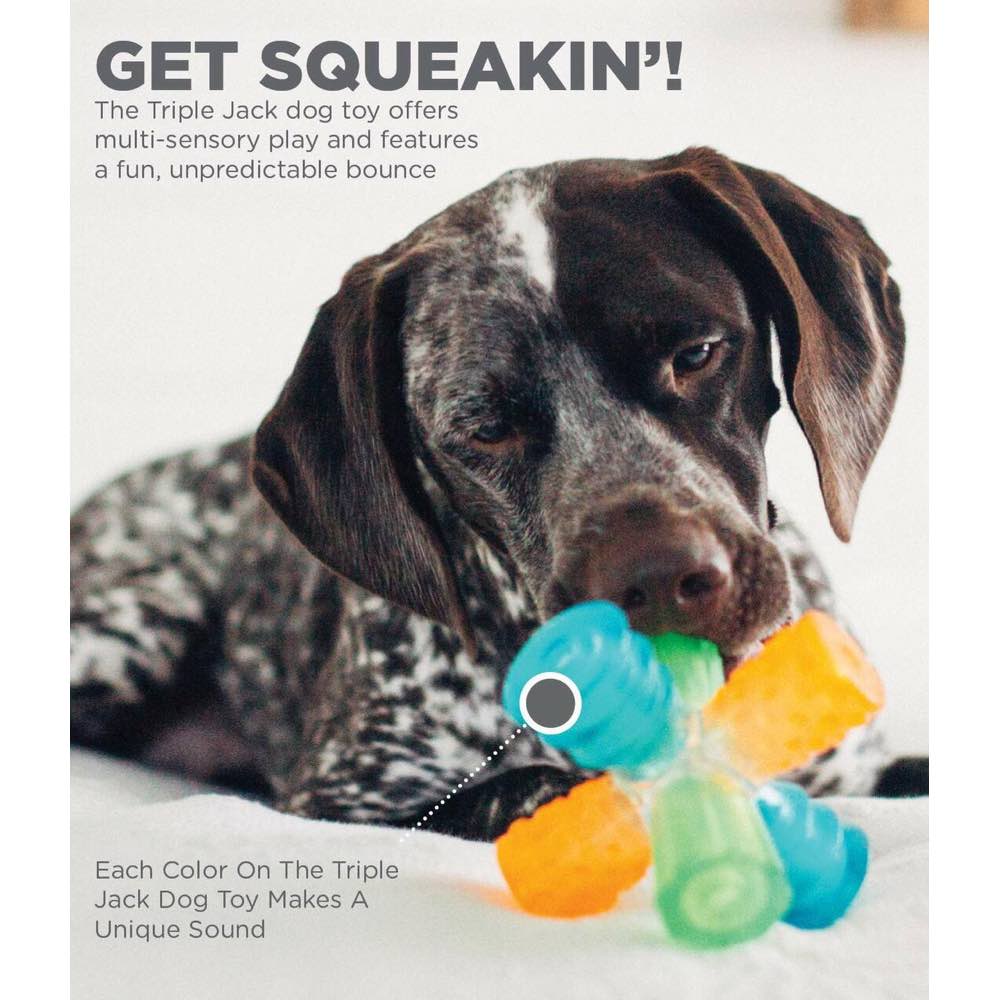 $2 OFF: Outward Hound Triple Jack Multi-Squeak Interactive Dog Toy - Kohepets