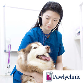 <center>Pawlyclinic</center>