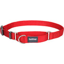 Red Dingo Classic Martingale Dog Collar 20mm