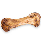 The Source-Sage Club Ostrich Dino Bone Dog Chew 1pc