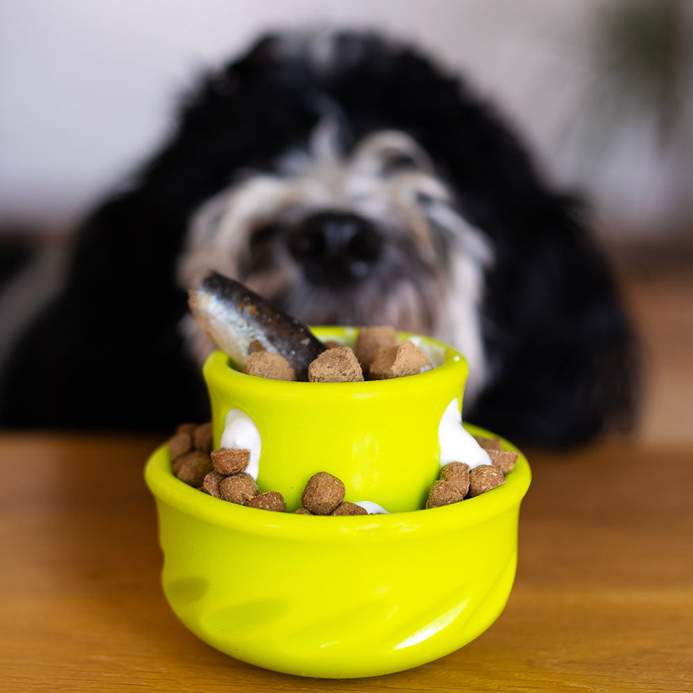 Totally Pooched Dog Toys — Colourful, Fun, Interactive Toys!