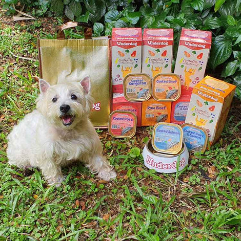 Underdog Frozen Dog Food — The Fast, Convenient & Nutritional Choice!