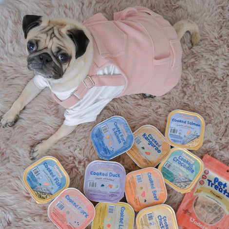 Underdog Frozen Dog Food — New To Underdog Or Fresh, Raw Diets? Read This!