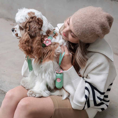 VETRESKA Walking Accessories For Cats & Dogs — Tasteful Essentials & Stunning Accessory Sets!