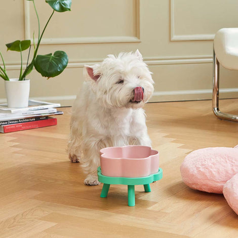 VETRESKA Pet Bowls — Durable, Long-Lasting Ceramic & Food-Grade ABS Bowls!