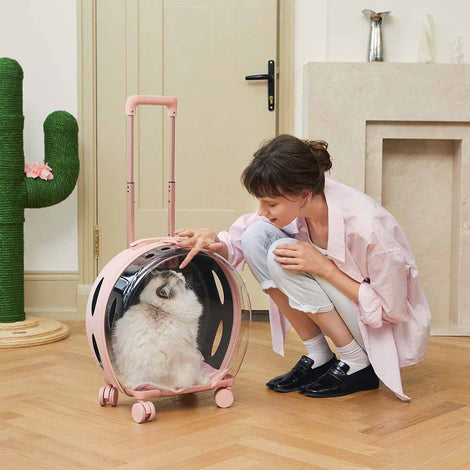 VETRESKA Pet Carriers — Travelling In Style Made Easy!