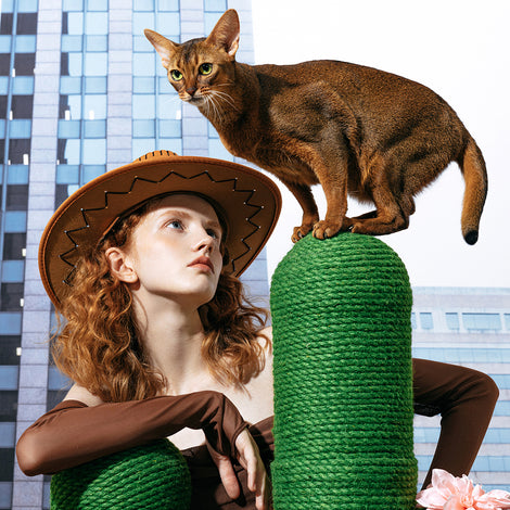 VETRESKA Pet Products