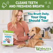 $12 OFF: Whimzees Variety Value Box Medium Grain-Free Dental Dog Treats 28pc - Kohepets